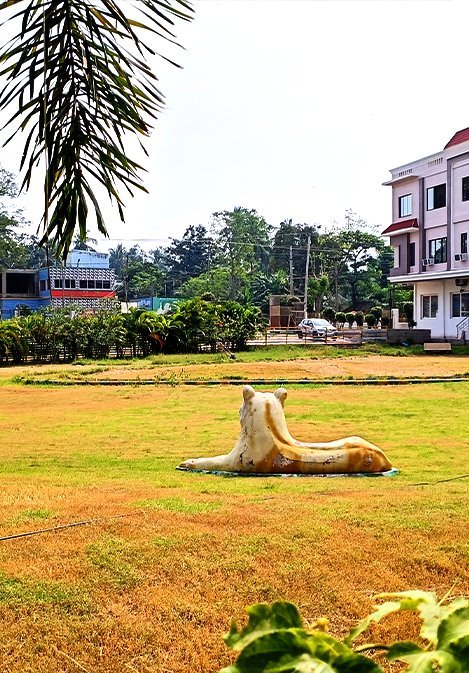 bg-image